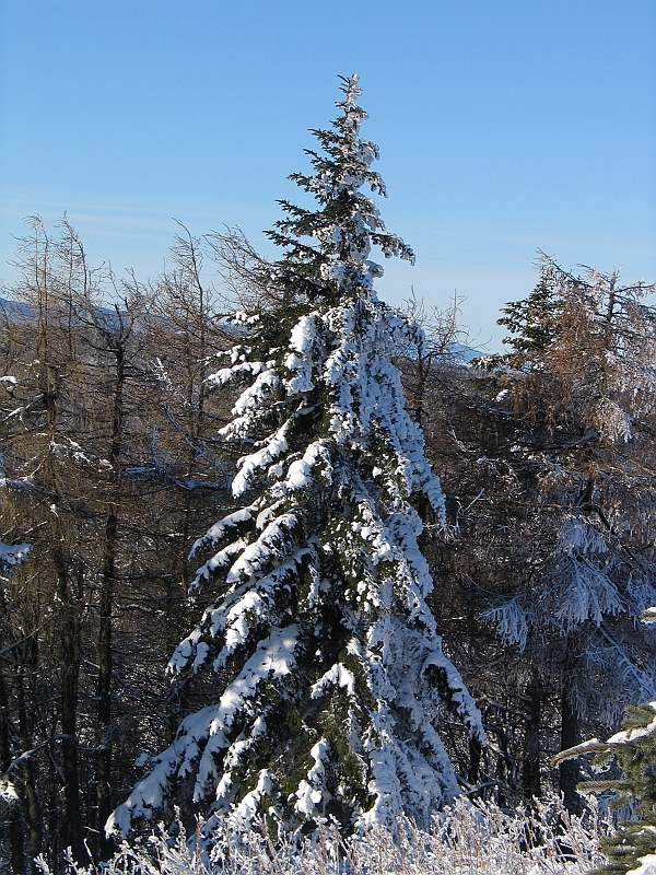 Krynica 2008 010